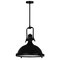 Cwi Lighting Show 1 Light Down Pendant With Black Finish 9602P16-1-101 - alternate 1